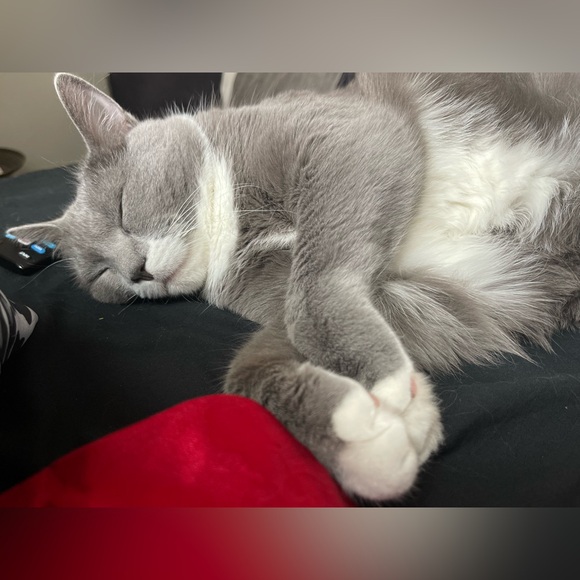 Meet your Posher, Leanne - Picture 13 of 13